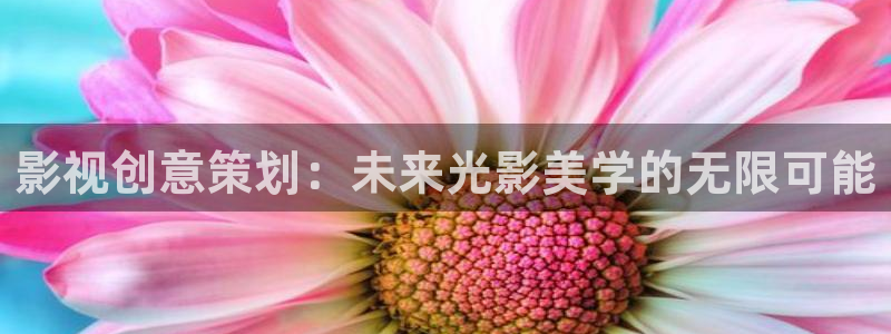 忍者神龟泡泡影视：影视创意策划：未来光影美学的无限可能