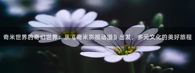 泡泡影视在线观看电影：奇米世界的奇幻世界：从《奇米影视动漫》出发，多元文化的美好旅程