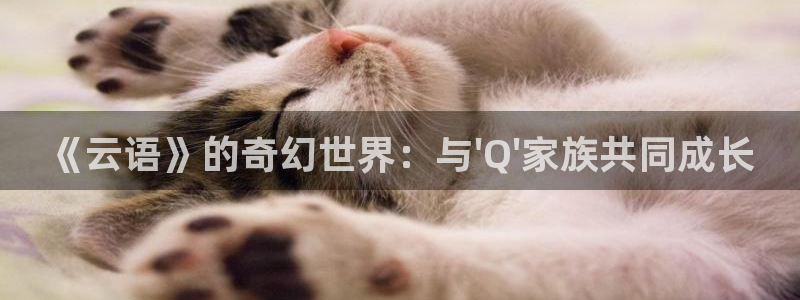 泡泡剧情电影：《云语》的奇幻世界：与\'Q\'家族共同成长