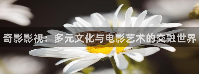 泡泡影视片哈：奇影影视：多元文化与电影艺术的交融世界