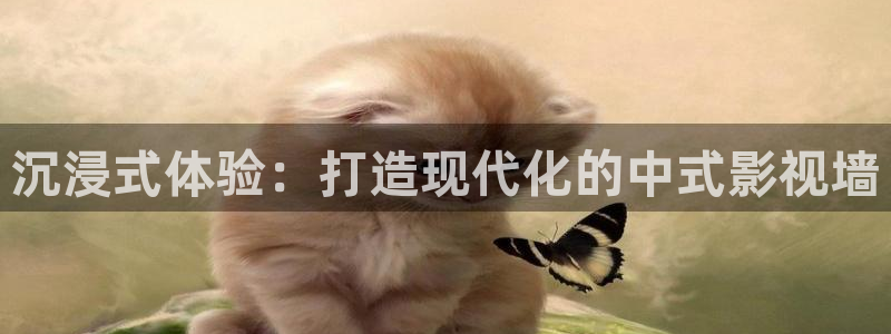 泡泡影音：沉浸式体验：打造现代化的中式影视墙