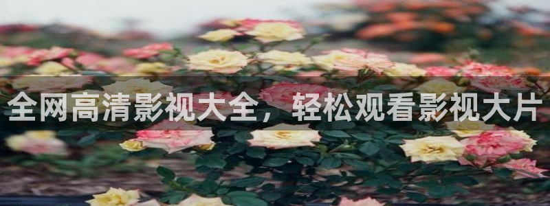 泡泡影视大全：全网高清影视大全，轻松观看影视大片