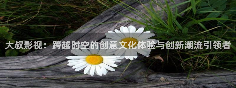 泡泡影院手机在线：大叔影视：跨越时空的创意文化体验与创新潮流引领者