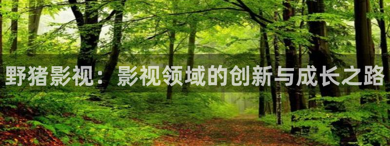 泡泡午夜电影：野猪影视：影视领域的创新与成长之路