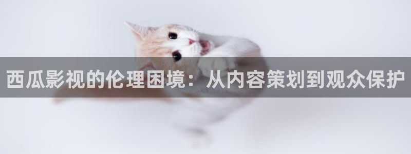 泡泡小视频视频：西瓜影视的伦理困境：从内容策划到观众保护
