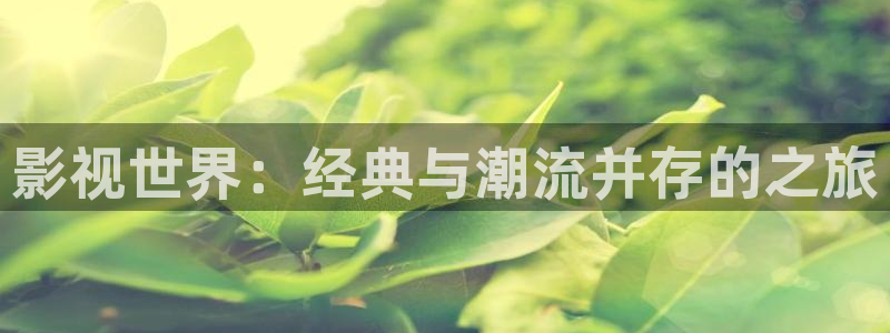 泡泡影视手机：影视世界：经典与潮流并存的之旅