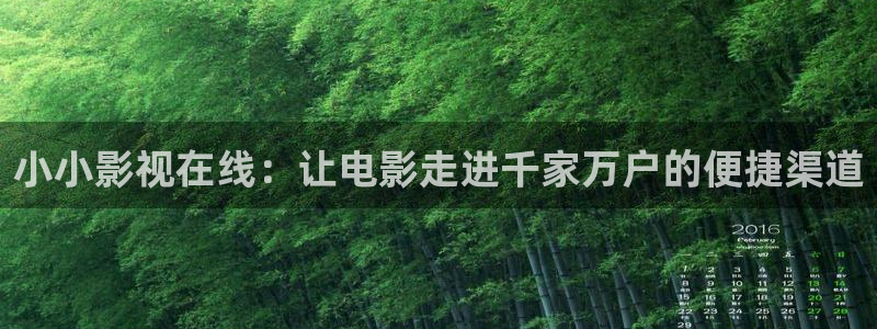 泡泡视频网站：小小影视在线：让电影走进千家万户的便捷渠道